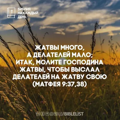 С праздником Жатвы! – Союз Евангельских Христиан Баптистов