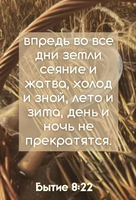 Жатва картинки - 58 фото