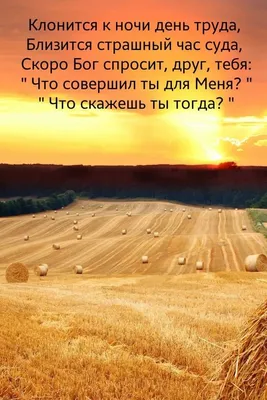 Стихи про жатву - короткие и красивые, христианские стихотворения для  детей, молодежи, взрослых на тему Праздник Жатвы