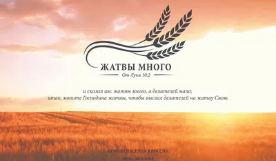 Быть благодарными за всё: праздник Жатвы в церкви «Христос есть ответ» —  Церковь Христос есть ответ