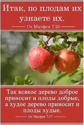 Библия Жатва Христианские лик in 2023 | Outdoor, Beach