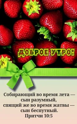 Жатва I. (Пророческое слово для наших и будущих времен) - купить книгу с  доставкой в интернет-магазине «Читай-город». ISBN: 978-5-84-450112-8
