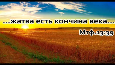 Приближается время жатвы» / Православие.Ru