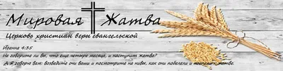 Христианские картинки жатвы (40 картинок) - Pichold