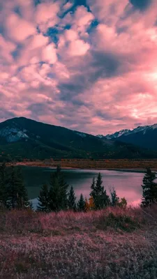 Самые красивые картинки на айфон (100 фото) 🔥 Прикольные картинки и юмор
