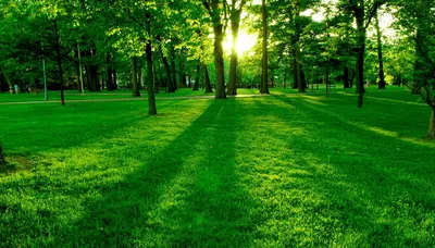 Обои для Wallpaper Engine - живые обои Windows 7, 8, 10