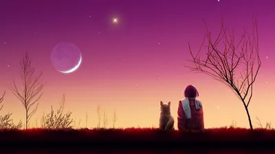 Картинки по запросу классные обои на рабочий стол | Wallpaper backgrounds,  Anime background, Laptop wallpaper desktop wallpapers