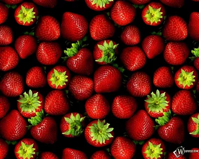 Обои на рабочий стол клубника - фото и картинки: 65 штук