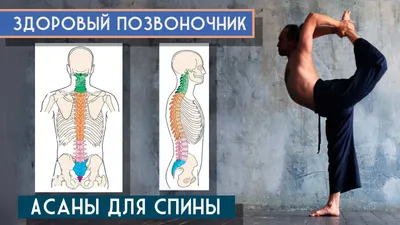 Еще одно ЗОЖ-увлечение: растяжка через боль и слезы, чтобы стать гибкой и  подтянутой - CityDog.io