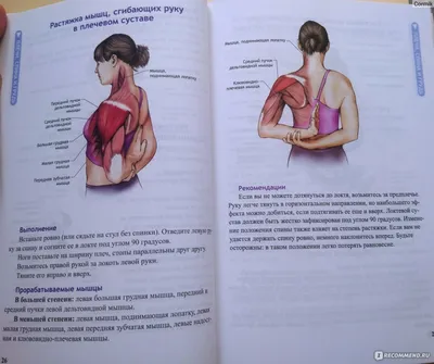Колесо для йоги - упражнения на растяжку всего тела