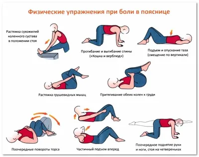 Упражнения на растяжку для мужчин и женщин