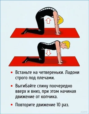Упражнения при грыже поясничного отдела позвоночника, лечебная гимнастика  лфк при межпозвоночной грыже | Клиника Temed