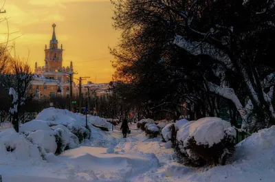 Комсомольск-на-Амуре - официальный сайт Общества «Динамо»