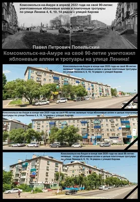 В Комсомольске-на-Амуре устроили забастовку рабочие из Китая