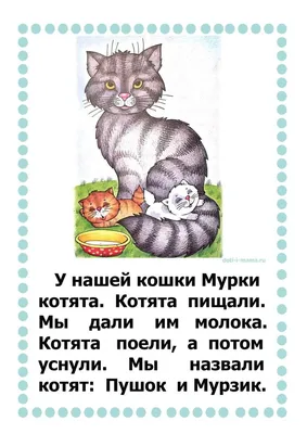 Книжки-картинки. Ёжик и золотая осень купить книгу с доставкой по цене 474  руб. в интернет магазине | Издательство Clever