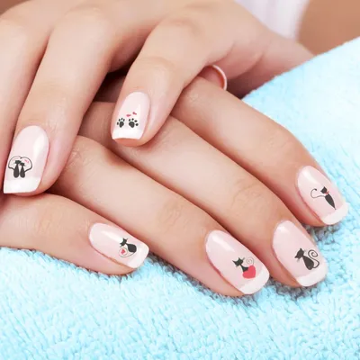 Маникюр с кошками. Как нарисовать кошку на ногтях - Janet.ru
