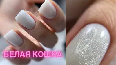 Кошка на витражном красном полигеле. Попробуйте, обалденный эффект  прозрачных, но мерцающих ногтей! #ногти #ногти2022 #nails #маникюр… |  Instagram