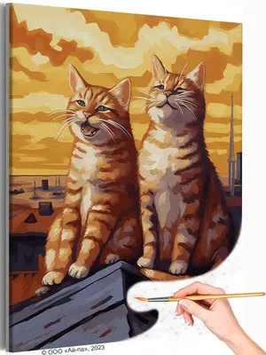 Кот на крыше стоковое изображение. изображение насчитывающей город -  40851627