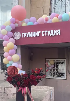 Клёвый кейс с неповторимым дизайном на Huawei Enjoy 6s - Панда в скафандре