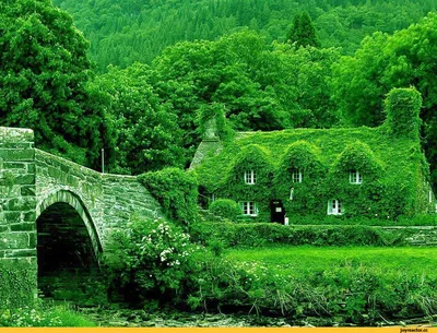 Экологически чистый домик в Англии. / красивые картинки :: дом :: Природа ( красивые фото природы: моря, озера, леса) / картинки, гифки, прикольные  комиксы, интересные статьи по теме.