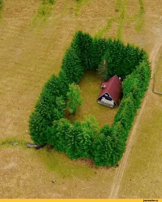 Красивый дом у озера в лесу - 80 фото