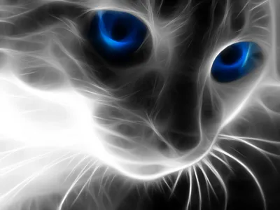кот (прикольные картинки с кошками) / смешные картинки и другие приколы:  комиксы, гиф анимация, видео, лучший интеллектуальный юмор.