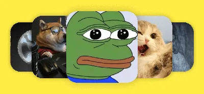 котэ (прикольные картинки с кошками) / смешные картинки и другие приколы:  комиксы, гиф анимация, видео, лучший интеллектуальный юмор.