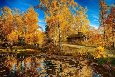 Бабье лето природа - красивые фото