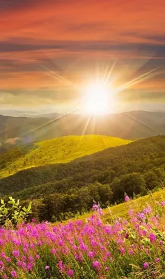 ♥ Красивые летние фотографии и видео: пляж, отдых, солнце ♥