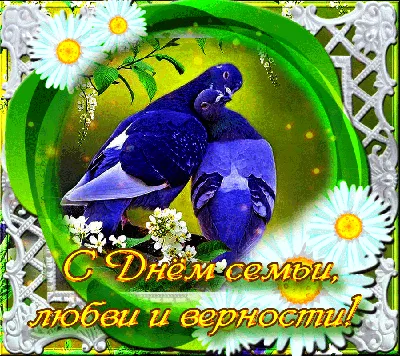 С ПРАЗДНИКОМ СЕМЬИ,ЛЮБВИ И ВЕРНОСТИ | Открытки, Семена, Праздник