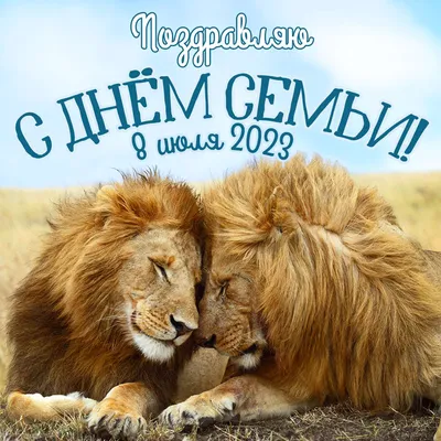 День Семьи, Любви и Верности 2023: новые красивые открытки и поздравления -  sib.fm