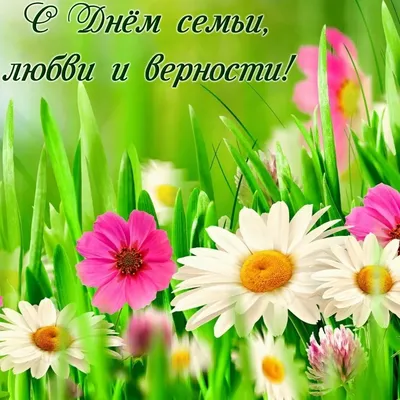 Конкурс рисунков \"День семьи, любви и верности\" - ЦДО Балаково