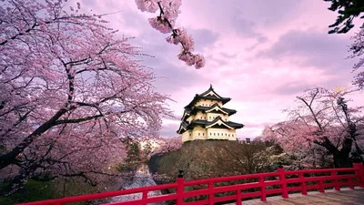 Wallpapers spring 1920x1080, фото обои весны для рабочего стола