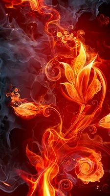 Очень красивые обои на телефон - фото и картинки: 65 штук