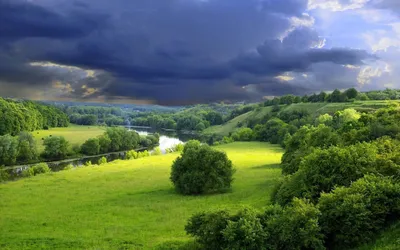 Скачать красивые цветы на заставку на телефон » Фото на телефон | Orchid  wallpaper, Spring wallpaper, Flower backgrounds