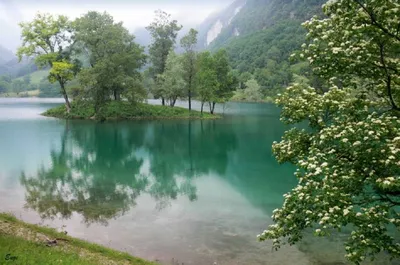 Красивые обои на экран телефона - фото и картинки: 70 штук