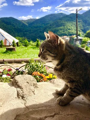 Заставки на вайбер для мужчин - фото и картинки abrakadabra.fun