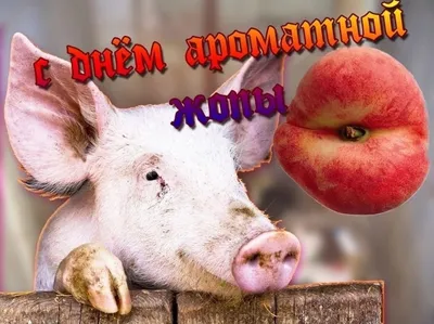 Скачать картинки на заставку телефона бесплатно (141 фото) скачать бесплатно