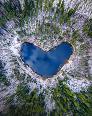 Красивые заставки на телефон с пальмами (41 фото)