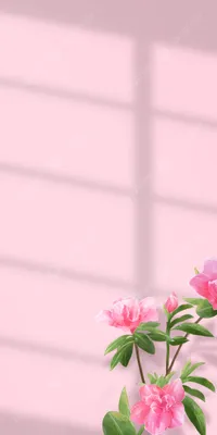 Lilac live wallpaper (apk) – Скачать для Android