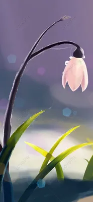 Flowers And Plants Mobile Phone Wallpaper Images Free Download on Lovepik |  400458376