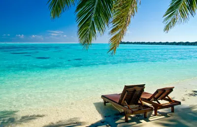 Wallpaper | Beautiful pictures | photo | picture | palm trees, the beach,  sand, sea, clouds