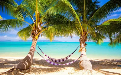 Пальма.пляж.море | Beach pictures, Sunset nature, Pretty landscapes