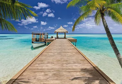 Обои Красивые пейзажи, тропики, пляж, пальмы, море, солнце 750x1334 iPhone  8/7/6/6S Изображение
