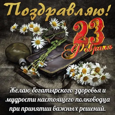 Картинки \"С 23 февраля!\" (515 шт.)