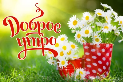 Пожелания на день рождения женщине в прозе и стихах