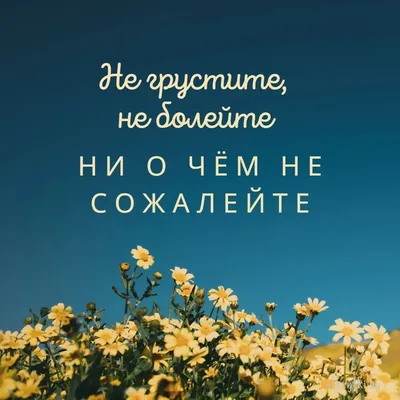Добрые пожелания на каждый день