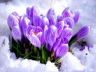 Милые, нежные, озорные... – Новости Sunny Store
