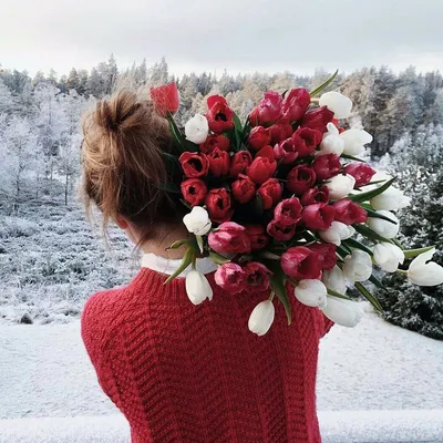 Красивые розы в снегу открытки (37 фото) » Уникальные и креативные картинки  для различных целей - Pohod.club