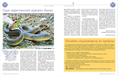Гады окрестностей курорта Анапа - Журнал \"Путёвые заметки\"